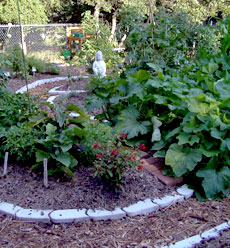 Spiral Garden