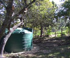 Rain Catchment Tank