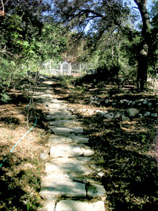 Lawton Pathway